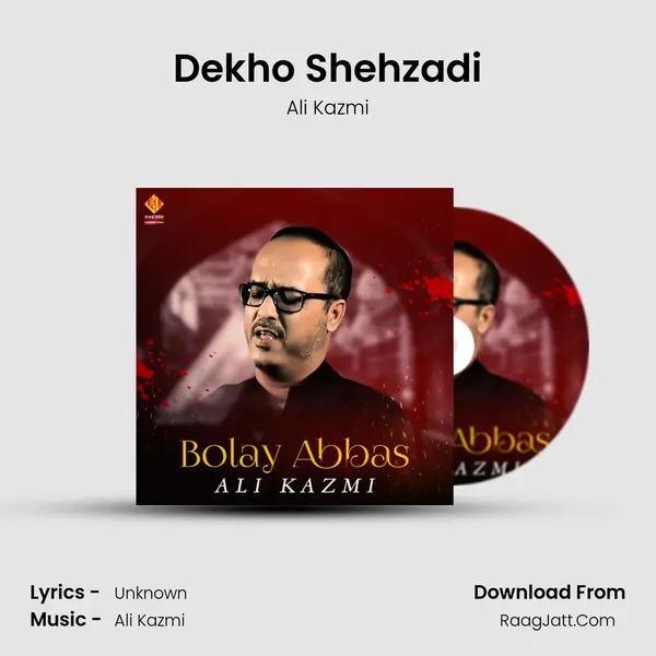 Dekho Shehzadi mp3 song