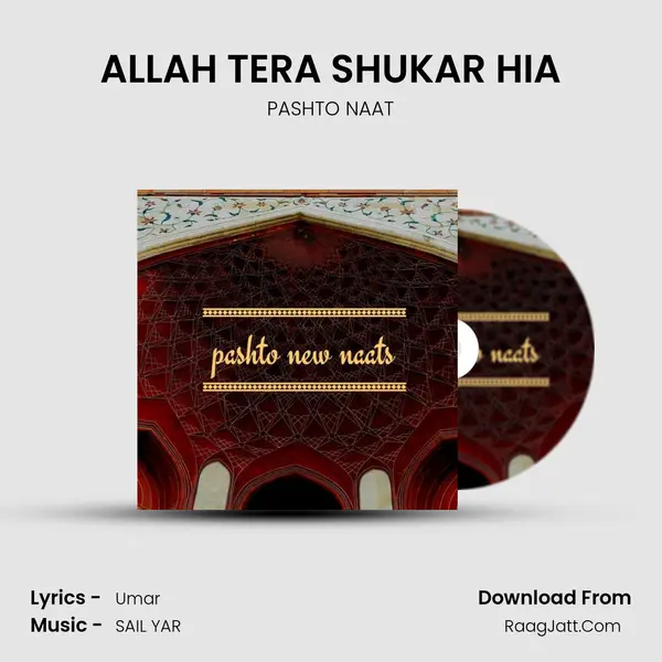 ALLAH TERA SHUKAR HIA MP3 Song by PASHTO NAAT Cover