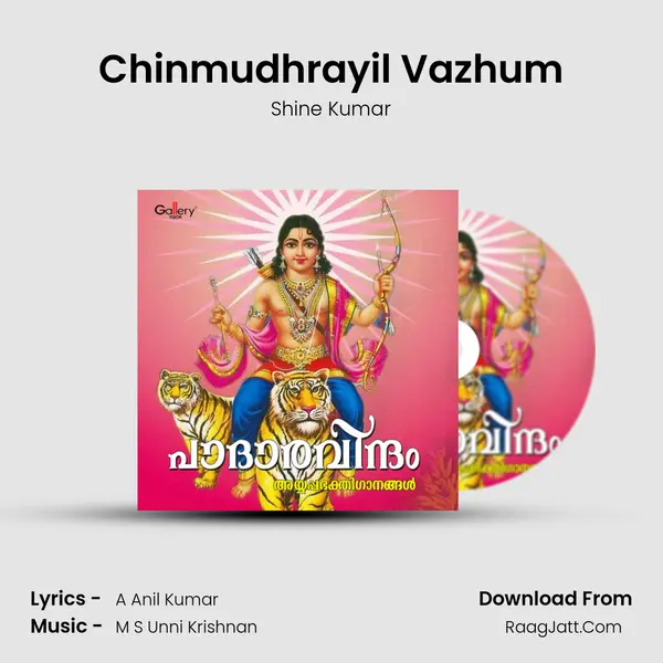 Chinmudhrayil Vazhum MP3 Song by Shine Kumar Cover