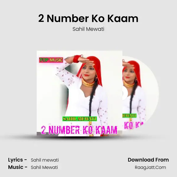 2 Number Ko Kaam - Sahil Mewati