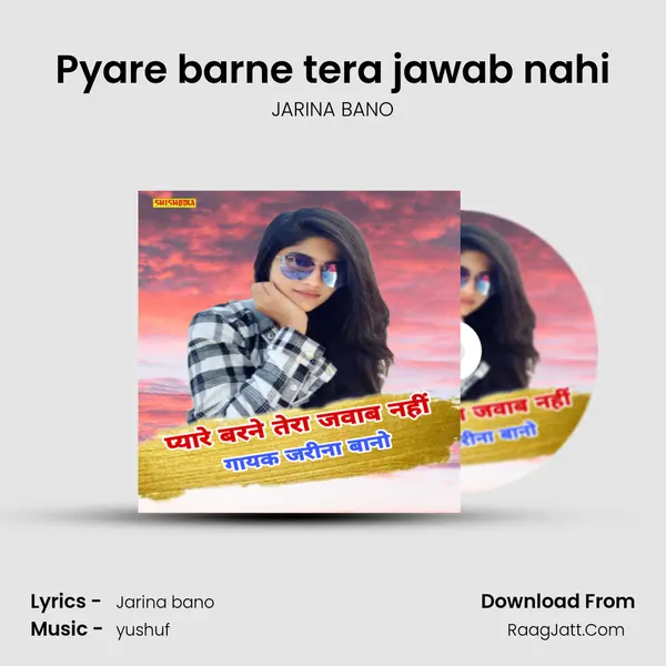 Pyare barne tera jawab nahi Cover