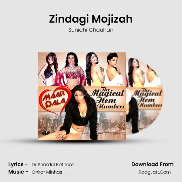 Zindagi Mojizah Cover