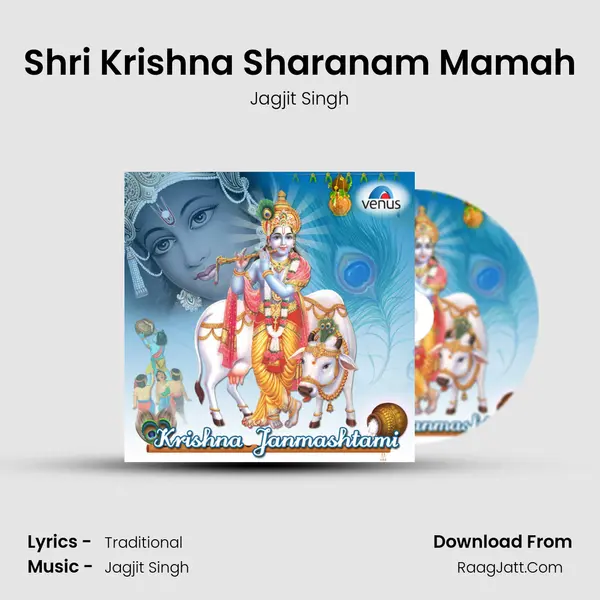 Shri Krishna Sharanam Mamah mp3 song