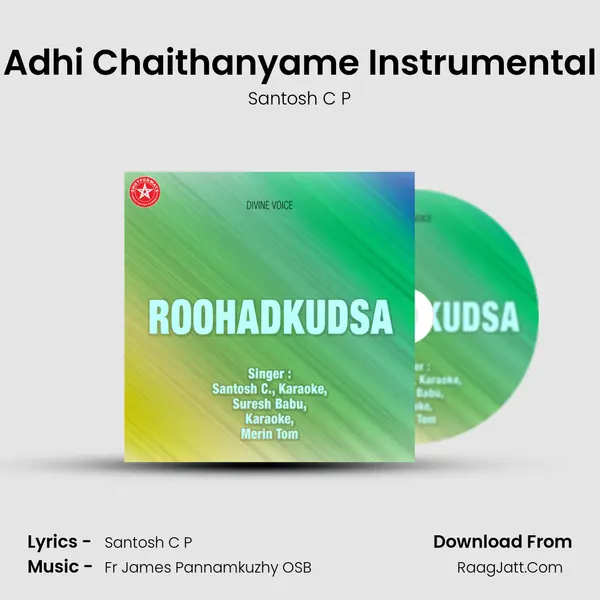 Adhi Chaithanyame Instrumental MP3 Song by Santosh C P Cover