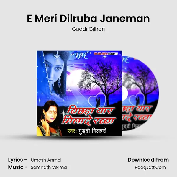 E Meri Dilruba Janeman MP3 Song by Guddi Gilhari Cover