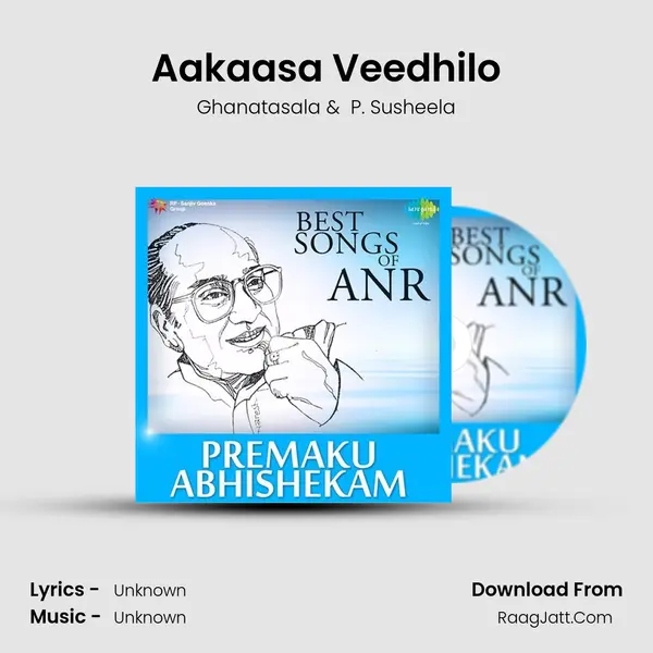 Aakaasa Veedhilo Cover