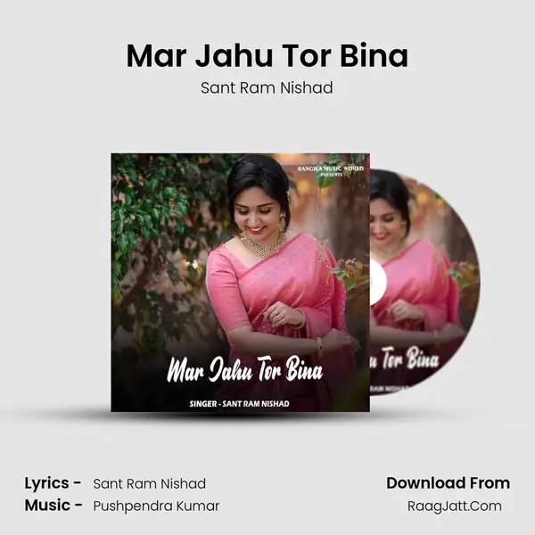 Mar Jahu Tor Bina mp3 song