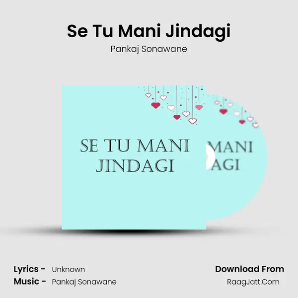 Se Tu Mani Jindagi - Pankaj Sonawane