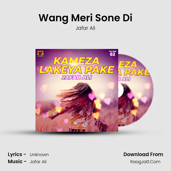 Wang Meri Sone Di MP3 Song by Jafar Ali Cover