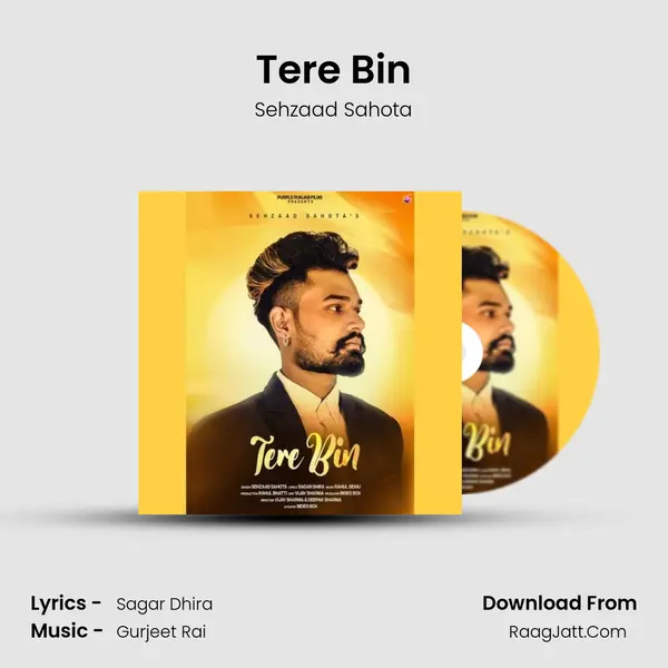 Tere Bin MP3 Song by Sehzaad Sahota Cover