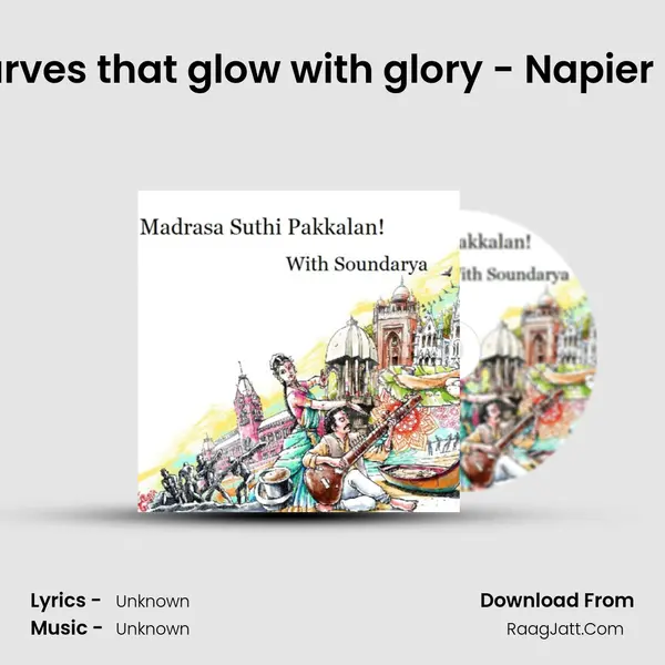 The curves that glow with glory - Napier Bridge MP3 Song by  Cover