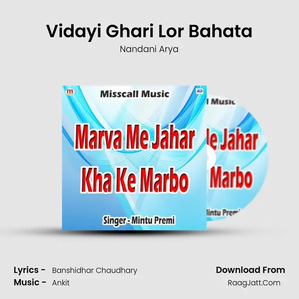 Vidayi Ghari Lor Bahata MP3 Song by Nandani Arya Cover