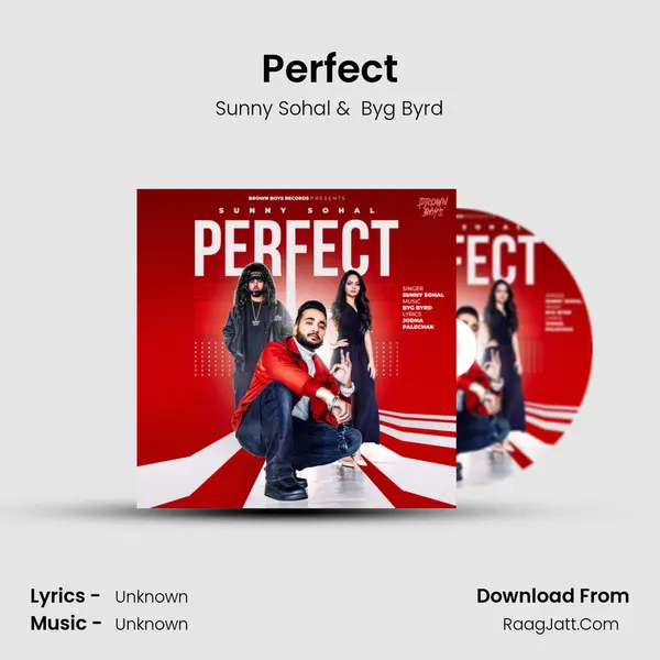 Perfect MP3 Song by Sunny Sohal Cover