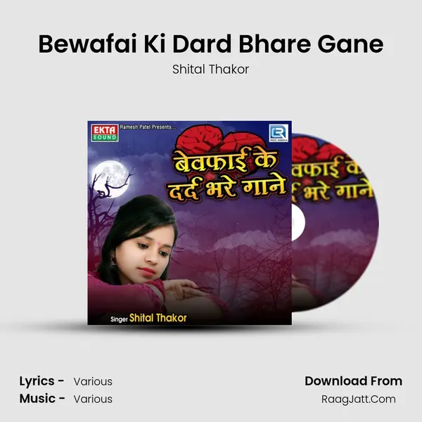Bewafai Ki Dard Bhare Gane - 