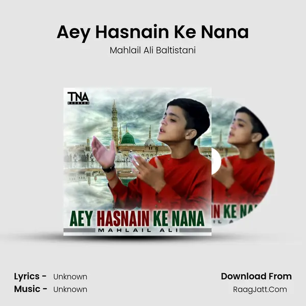 Aey Hasnain Ke Nana - Single - Mahlail Ali Baltistani