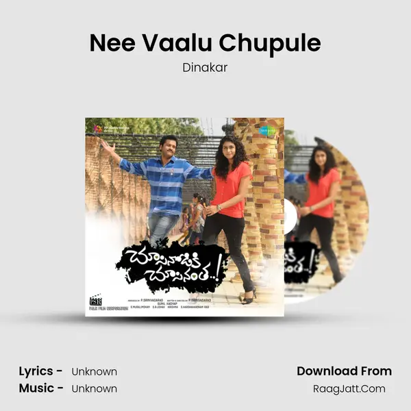 Nee Vaalu Chupule MP3 Song by Dinakar Cover