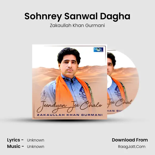 Sohnrey Sanwal Dagha mp3 song