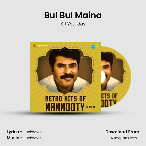Bul Bul Maina Cover