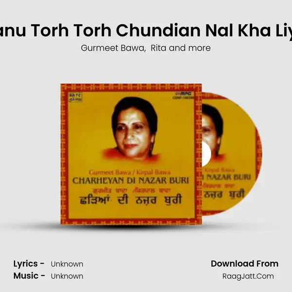 Sanu Torh Torh Chundian Nal Kha Liya Cover