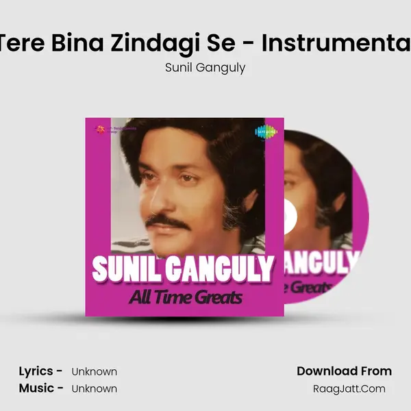 Tere Bina Zindagi Se - Instrumental MP3 Song by Sunil Ganguly Cover