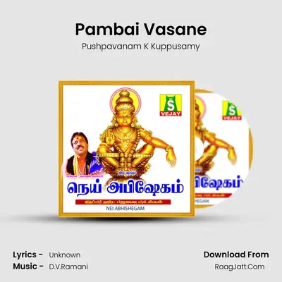Pambai Vasane MP3 Song by Pushpavanam K Kuppusamy Cover