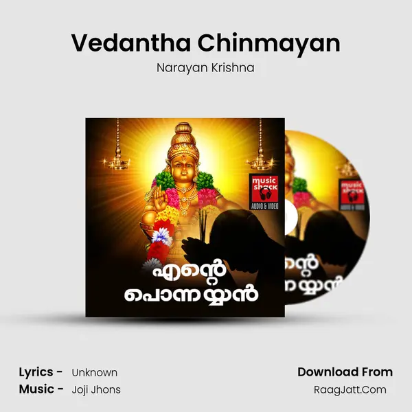 Vedantha Chinmayan MP3 Song by Narayan Krishna Cover