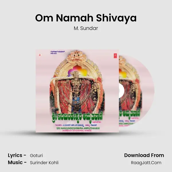 Om Namah Shivaya MP3 Song by M. Sundar Cover