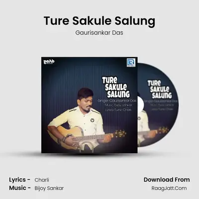 Ture Sakule Salung MP3 Song by Gaurisankar Das Cover
