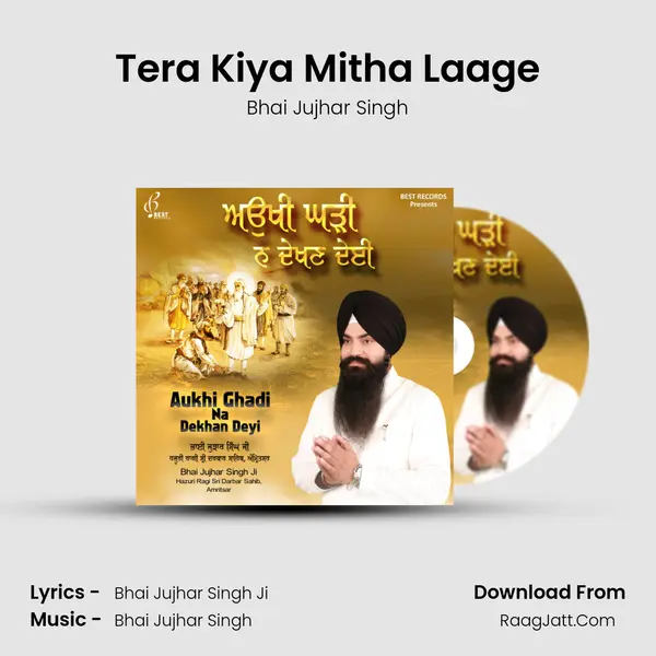 Tera Kiya Mitha Laage MP3 Song by Bhai Jujhar Singh Cover