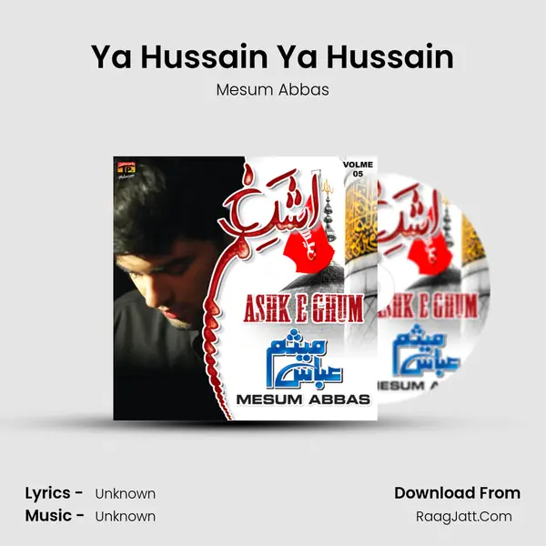 Ya Hussain Ya Hussain MP3 Song by Mesum Abbas Cover