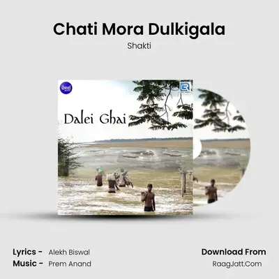 Chati Mora Dulkigala MP3 Song by Shakti Cover