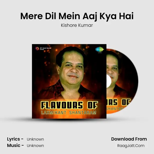 Mere Dil Mein Aaj Kya Hai Cover