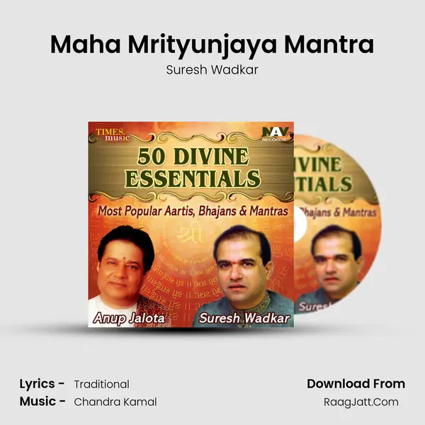 Maha Mrityunjaya Mantra Cover
