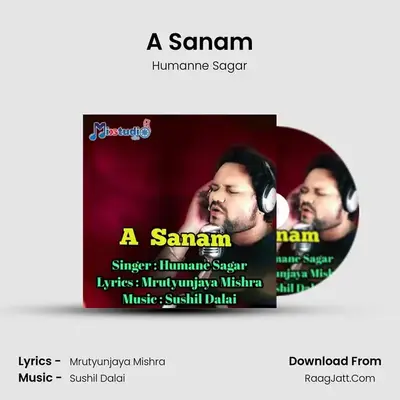 A Sanam (Male Verison) - Humanne Sagar