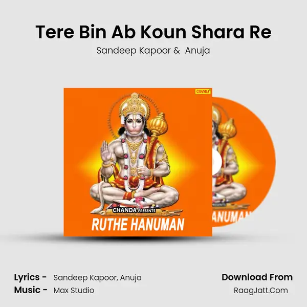Tere Bin Ab Koun Shara Re MP3 Song by Sandeep Kapoor Cover