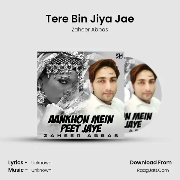 Tere Bin Jiya Jae MP3 Song by Zaheer Abbas Cover