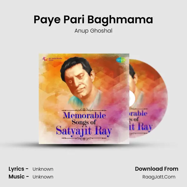 Paye Pari Baghmama Cover