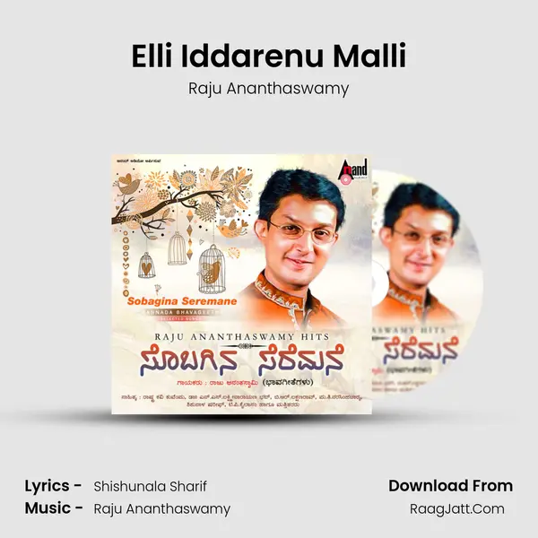 Elli Iddarenu Malli MP3 Song by Raju Ananthaswamy Cover