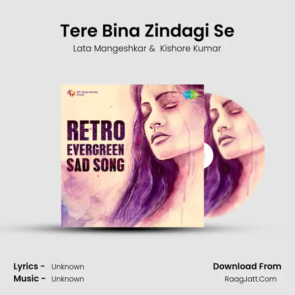 Tere Bina Zindagi Se Cover
