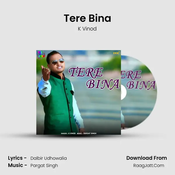 Tere Bina MP3 Song by K Vinod Cover