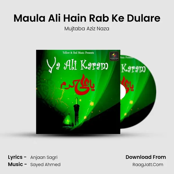 Maula Ali Hain Rab Ke Dulare Cover