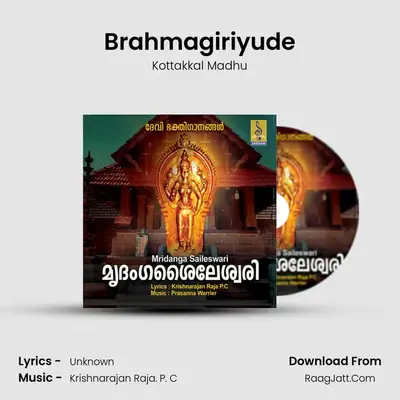 Kottakkal Madhu