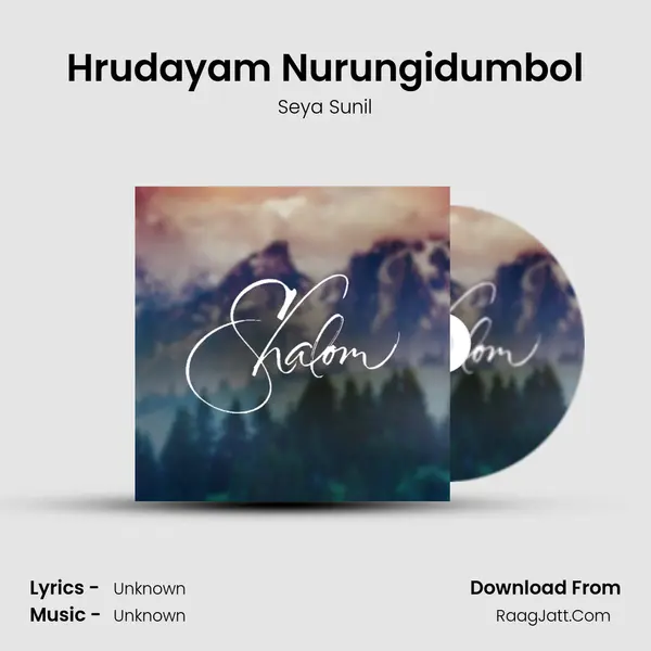Hrudayam Nurungidumbol MP3 Song by Seya Sunil Cover