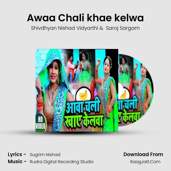 Awaa Chali khae kelwa Cover