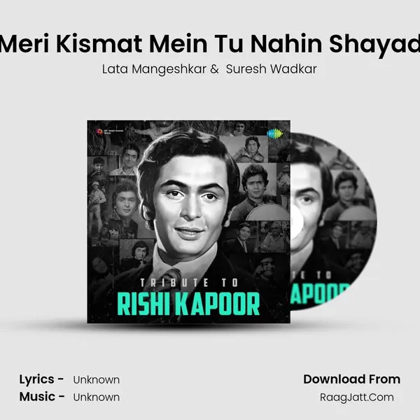 Meri Kismat Mein Tu Nahin Shayad Cover