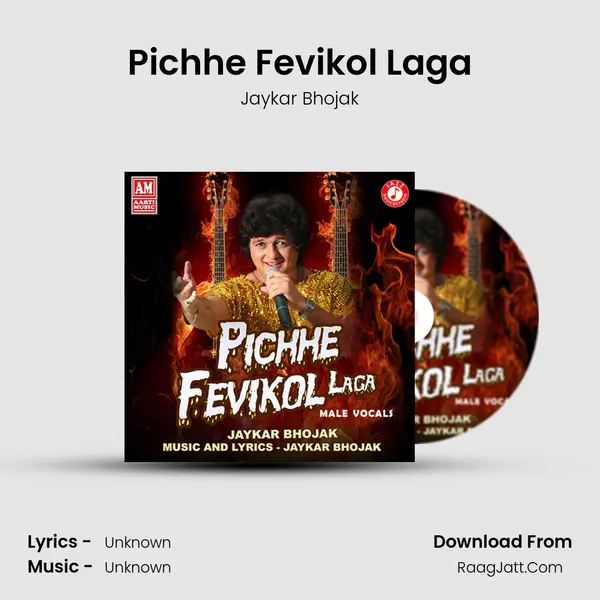 Pichhe Fevikol Laga mp3 song