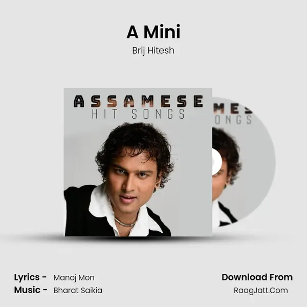 A Mini MP3 Song by Brij Hitesh Cover