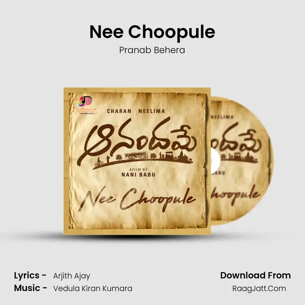 Nee Choopule MP3 Song by Pranab Behera Cover