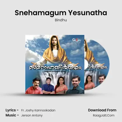 Snehamagum Yesunatha MP3 Song by Bindhu Cover