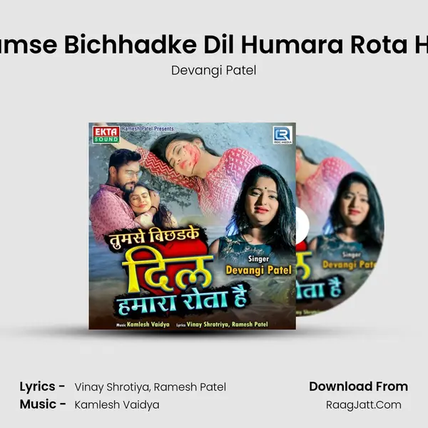 Tumse Bichhadke Dil Humara Rota Hai mp3 song